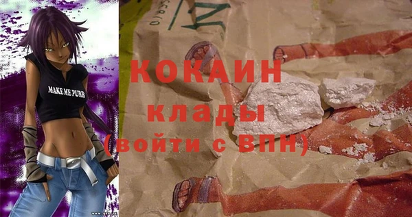 твердый Алексеевка