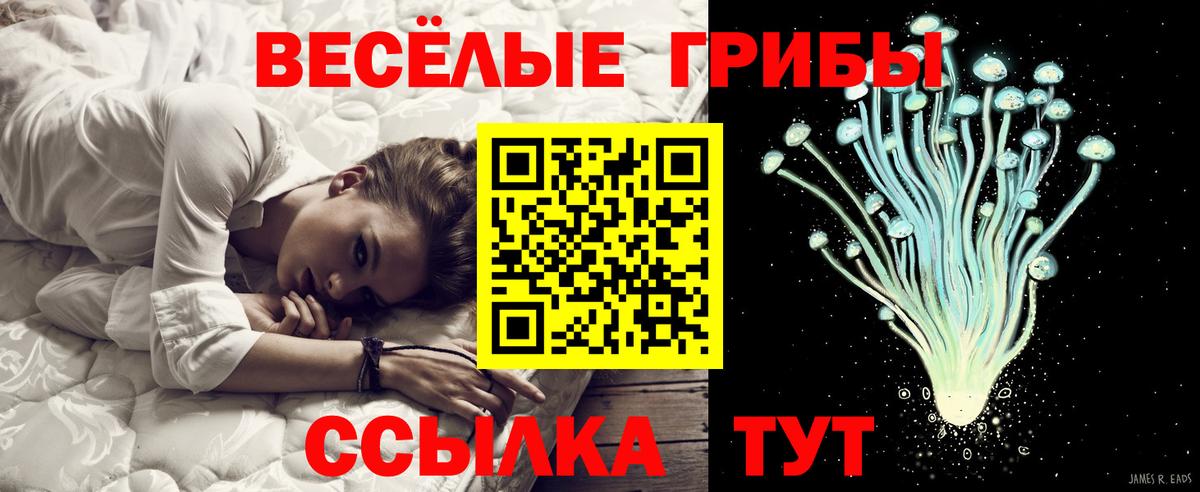 Протвино  Псилоцибиновые грибы ЛСД  Вход с VPN 